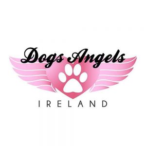 Dog_angels_ireland