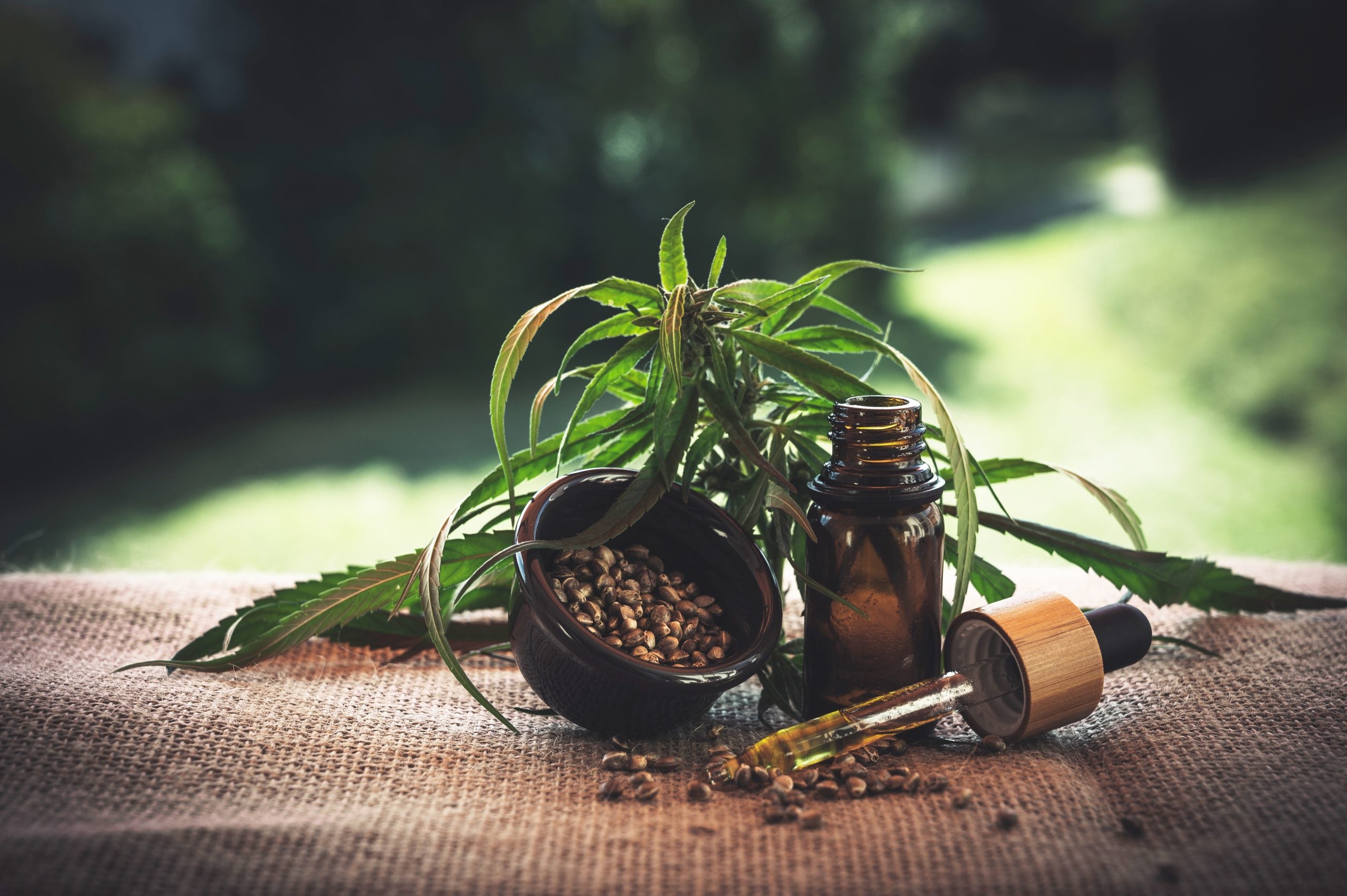 What is CBD and Why is Everyone Talking About It